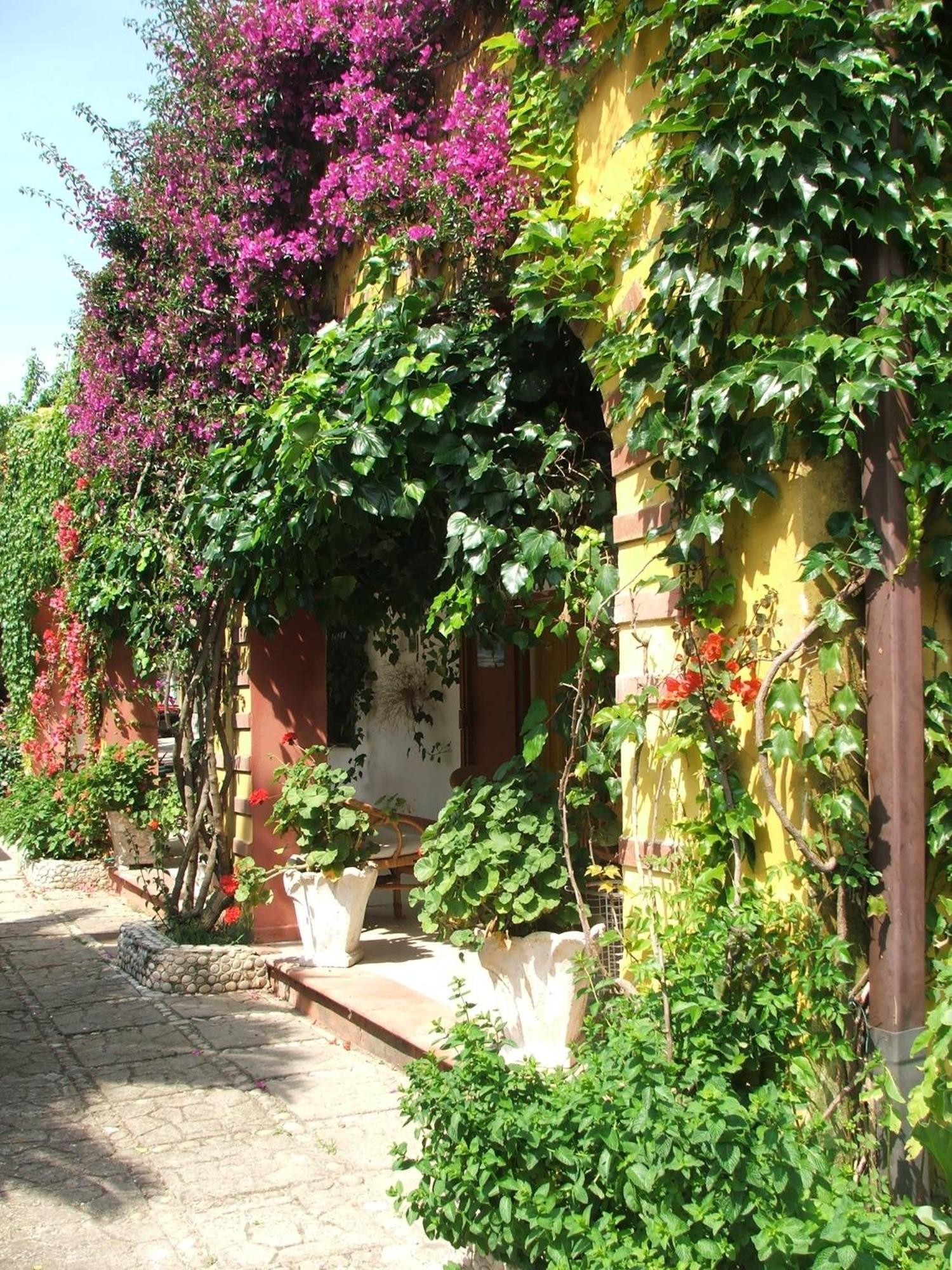 Agriturismo Posta Pastorella Vieste Rom bilde